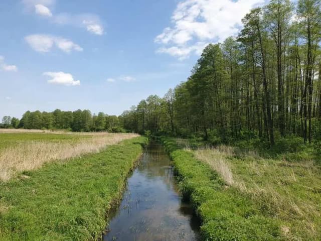 Najlepsze trasy rowerowe w Siedlcach - odkryj piękne szlaki Najlepsze trasy rowerowe w Siedlcach - odkryj piękne szlaki