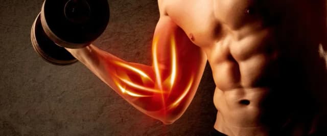 Ile białka dziennie przy treningu? Odpowiedzi, które mogą zaskoczyć Ile białka dziennie przy treningu? Odpowiedzi, które mogą zaskoczyć